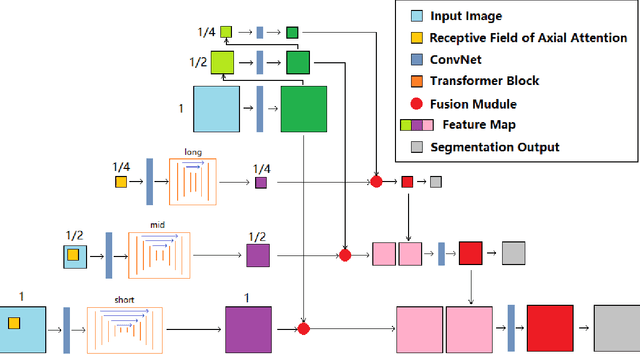 Figure 1 for Pyramid Medical Transformer for Medical Image Segmentation