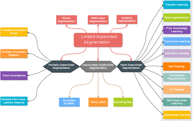 Figure 1 for Medical Image Segmentation with Limited Supervision: A Review of Deep Network Models