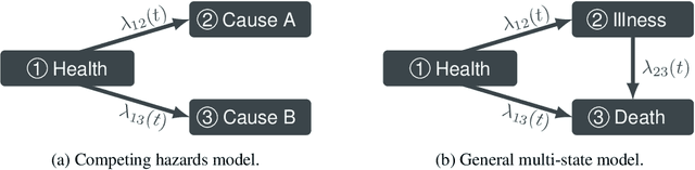 Figure 1 for Neural ODEs for Multi-State Survival Analysis