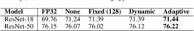 Figure 4 for Adaptive Loss Scaling for Mixed Precision Training