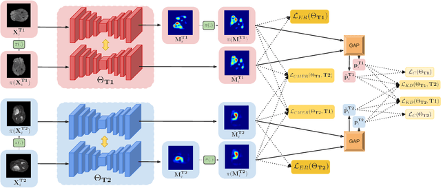 Figure 2 for Weakly supervised segmentation with cross-modality equivariant constraints