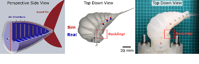 Figure 1 for Learning Material Parameters and Hydrodynamics of Soft Robotic Fish via Differentiable Simulation