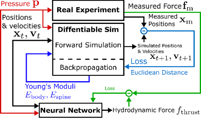 Figure 2 for Learning Material Parameters and Hydrodynamics of Soft Robotic Fish via Differentiable Simulation