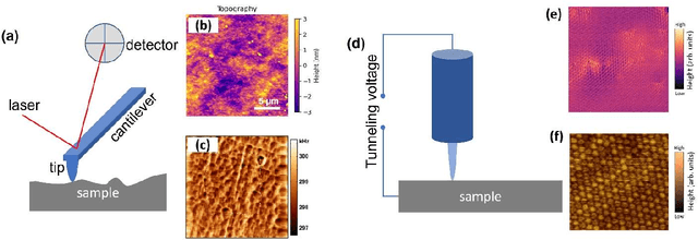 Figure 4 for Microscopy is All You Need