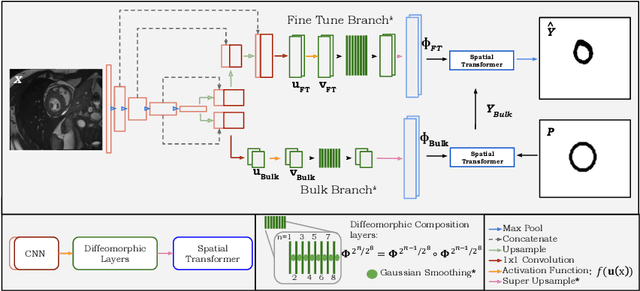 Figure 1 for TEDS-Net: Enforcing Diffeomorphisms in Spatial Transformers to Guarantee Topology Preservation in Segmentations