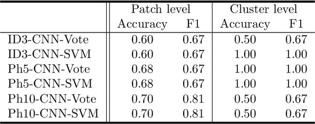 Figure 4 for Colorectal Cancer Outcome Prediction from H&E Whole Slide Images using Machine Learning and Automatically Inferred Phenotype Profiles
