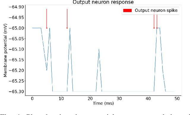 Figure 4 for Spike-based building blocks for performing logic operations using Spiking Neural Networks on SpiNNaker