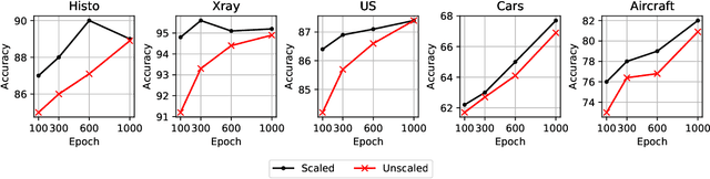 Figure 3 for Resource and data efficient self supervised learning
