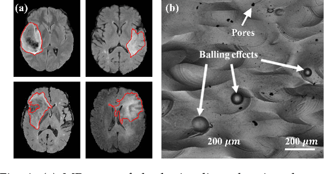 Figure 1 for Unsupervised image segmentation via maximum a posteriori estimation of continuous max-flow