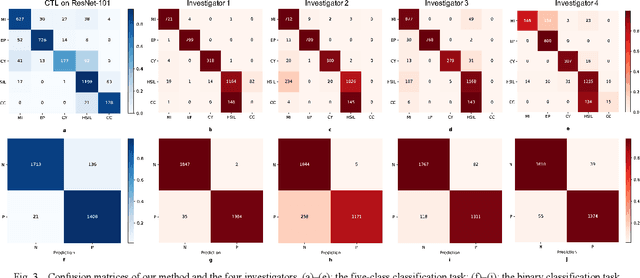 Figure 3 for Cervical Optical Coherence Tomography Image Classification Based on Contrastive Self-Supervised Texture Learning