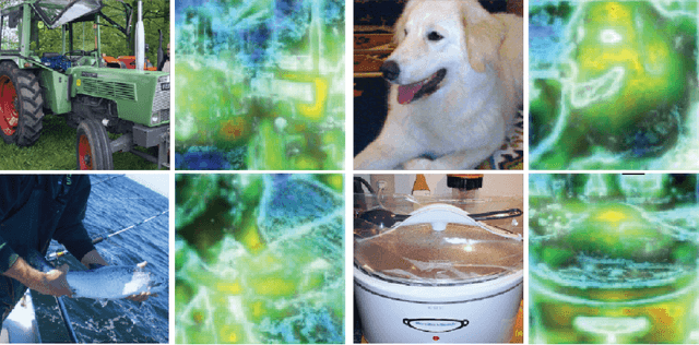 Figure 3 for Efficient Saliency Maps for Explainable AI