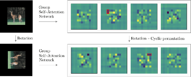 Figure 1 for Group Equivariant Stand-Alone Self-Attention For Vision