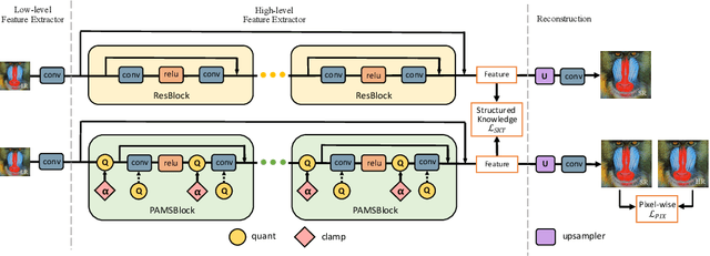 Figure 1 for PAMS: Quantized Super-Resolution via Parameterized Max Scale