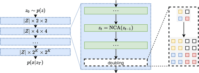 Figure 2 for Variational Neural Cellular Automata