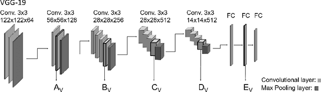 Figure 1 for Transfer Learning with Human Corneal Tissues: An Analysis of Optimal Cut-Off Layer