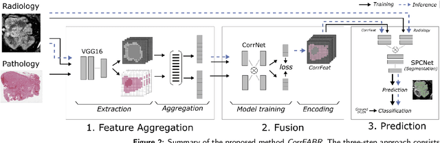 Figure 3 for Correlated Feature Aggregation by Region Helps Distinguish Aggressive from Indolent Clear Cell Renal Cell Carcinoma Subtypes on CT