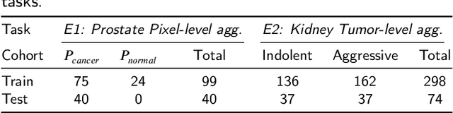 Figure 4 for Correlated Feature Aggregation by Region Helps Distinguish Aggressive from Indolent Clear Cell Renal Cell Carcinoma Subtypes on CT