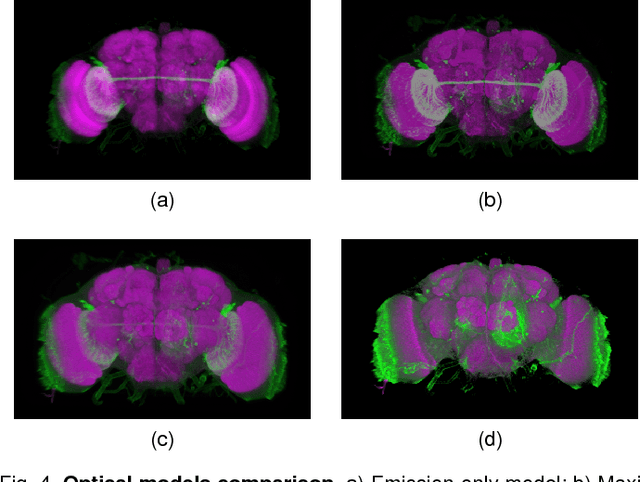 Figure 4 for syGlass: Interactive Exploration of Multidimensional Images Using Virtual Reality Head-mounted Displays