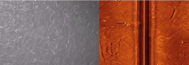 Figure 1 for Unlimited Resolution Image Generation with R2D2-GANs