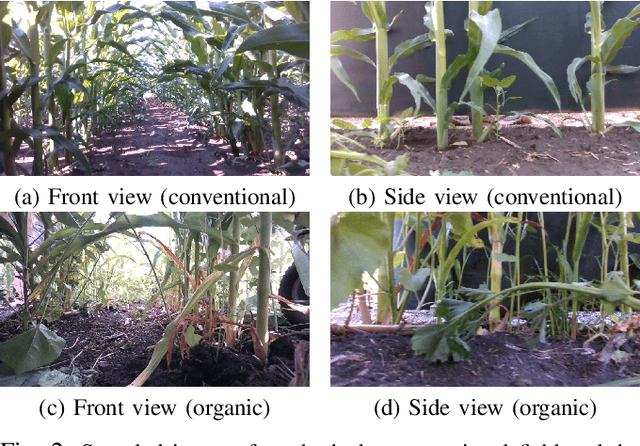 Figure 2 for ROW-SLAM: Under-Canopy Cornfield Semantic SLAM