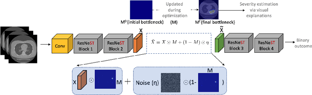 Figure 3 for Information Bottleneck Attribution for Visual Explanations of Diagnosis and Prognosis