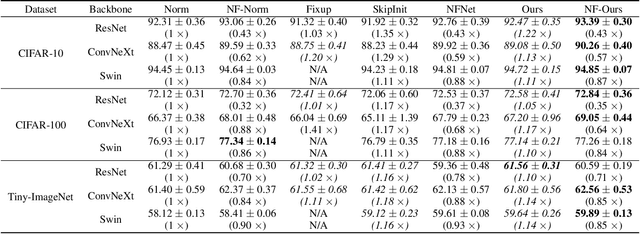 Figure 4 for NoMorelization: Building Normalizer-Free Models from a Sample's Perspective