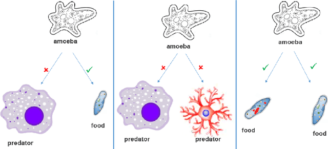 Figure 1 for A Metamodel and Framework for Artificial General Intelligence From Theory to Practice