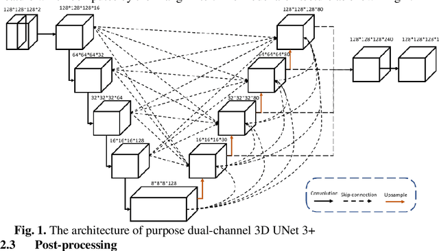 Figure 1 for Airway Tree Modeling Using Dual-channel 3D UNet 3+ with Vesselness Prior