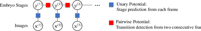 Figure 3 for Developmental Stage Classification of Embryos Using Two-Stream Neural Network with Linear-Chain Conditional Random Field
