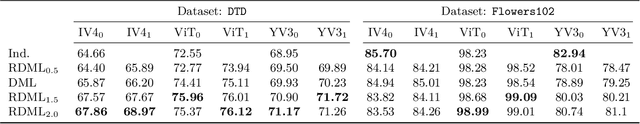 Figure 4 for Rényi Divergence Deep Mutual Learning