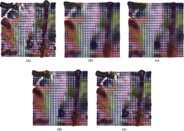 Figure 3 for Mumford-Shah and Potts Regularization for Manifold-Valued Data with Applications to DTI and Q-Ball Imaging