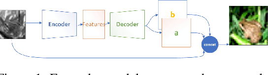 Figure 1 for Is It a Plausible Colour? UCapsNet for Image Colourisation