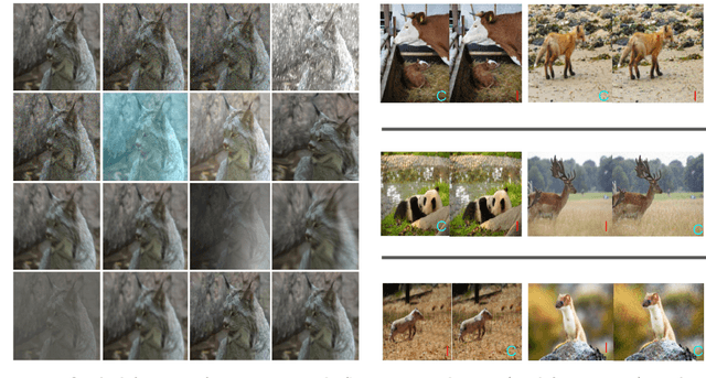 Figure 1 for How Robust are Discriminatively Trained Zero-Shot Learning Models?