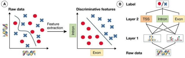 Figure 3 for Deep Learning in Pharmacogenomics: From Gene Regulation to Patient Stratification