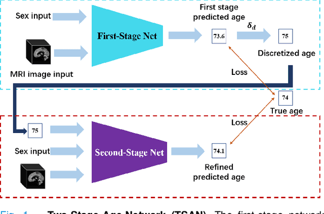 Figure 1 for Brain Age Estimation From MRI Using Cascade Networks with Ranking Loss