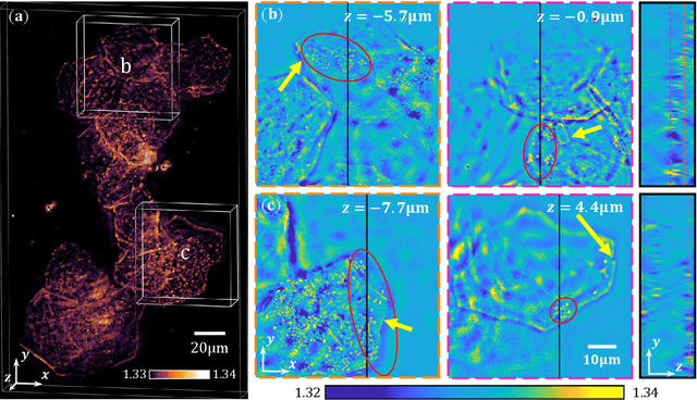 Figure 4 for High-fidelity intensity diffraction tomography with a non-paraxial multiple-scattering model