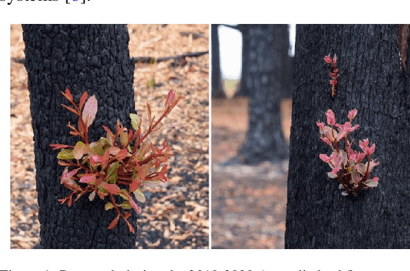 Figure 1 for Network resilience