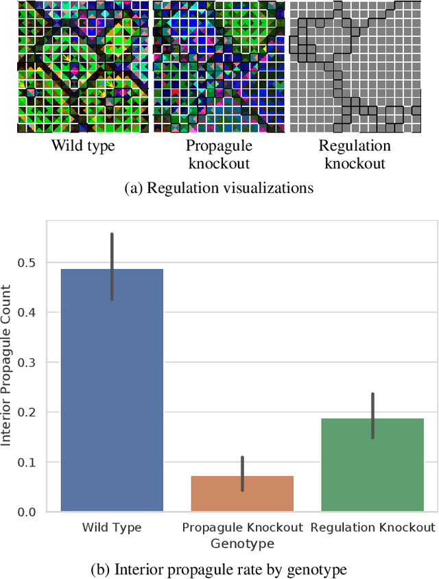 Figure 3 for Exploring Evolved Multicellular Life Histories in a Open-Ended Digital Evolution System