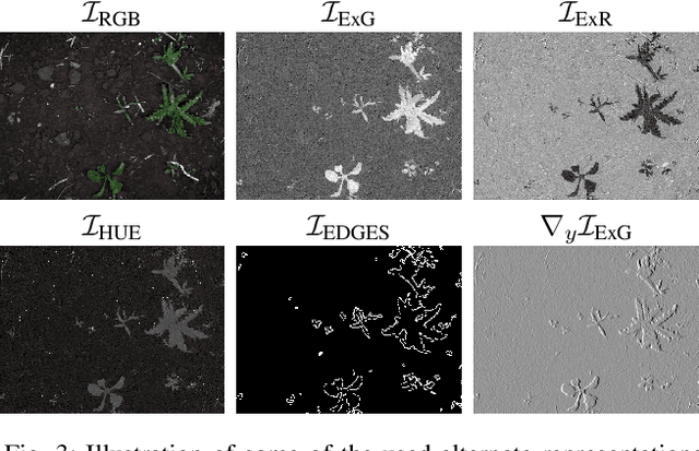 Figure 3 for Real-time Semantic Segmentation of Crop and Weed for Precision Agriculture Robots Leveraging Background Knowledge in CNNs