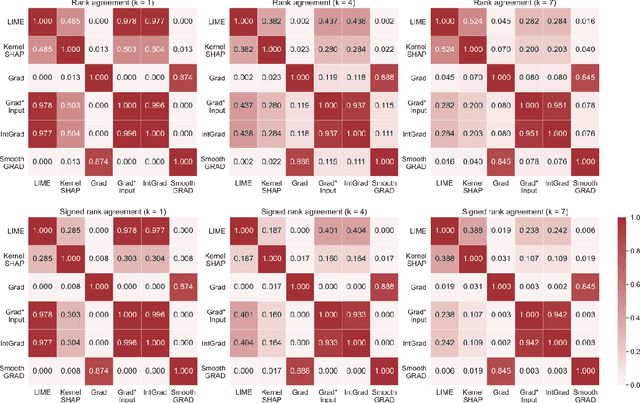 Figure 3 for The Disagreement Problem in Explainable Machine Learning: A Practitioner's Perspective