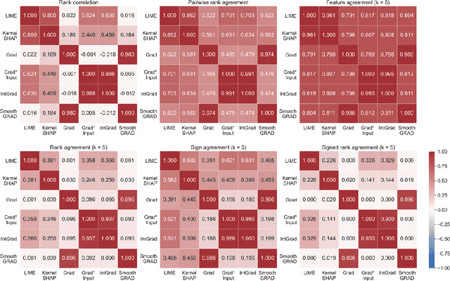 Figure 1 for The Disagreement Problem in Explainable Machine Learning: A Practitioner's Perspective