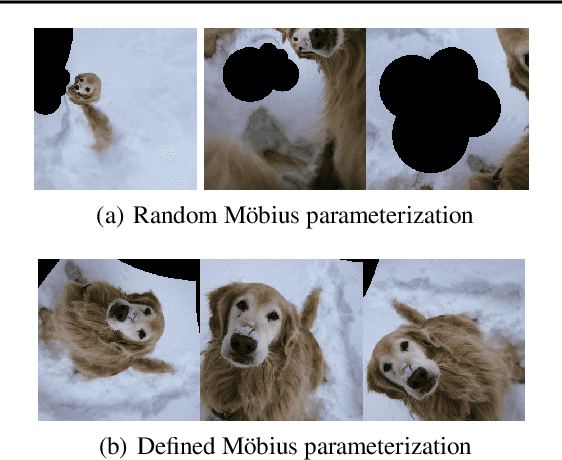 Figure 3 for Data augmentation with Möbius transformations