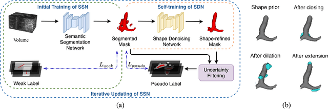 Figure 1 for Weakly Supervised Volumetric Segmentation via Self-taught Shape Denoising Model
