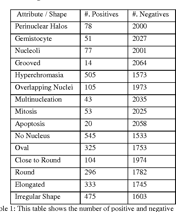 Figure 2 for Center-Focusing Multi-task CNN with Injected Features for Classification of Glioma Nuclear Images