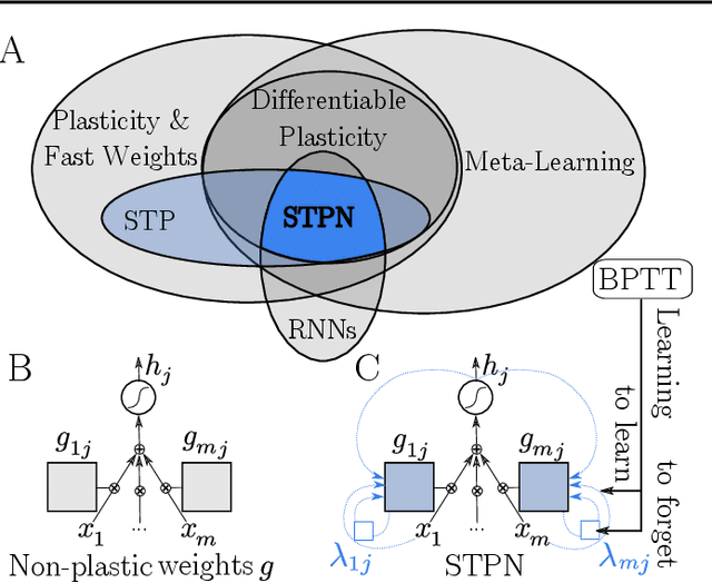 Figure 1 for Short-Term Plasticity Neurons Learning to Learn and Forget
