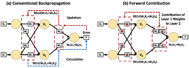 Figure 1 for Front Contribution instead of Back Propagation