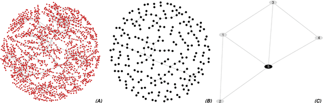 Figure 1 for High-dimensional Graphical Model Search with gRapHD R Package