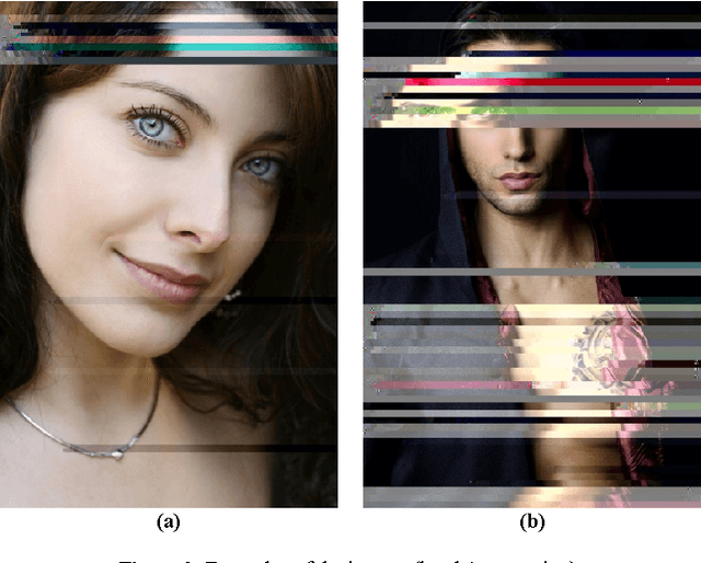 Figure 2 for The Digital Synaptic Neural Substrate: Size and Quality Matters
