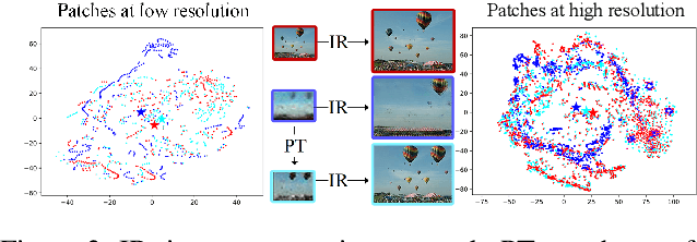 Figure 4 for PetsGAN: Rethinking Priors for Single Image Generation