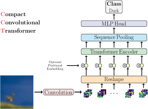 Figure 1 for Escaping the Big Data Paradigm with Compact Transformers